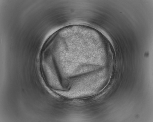 X0000090931053200708201824