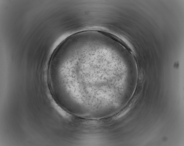 X0000090931054200708201824