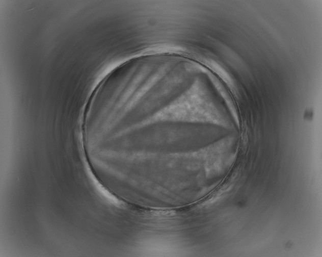 X0000090931055200708201824