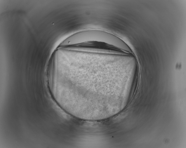 X0000090931056200708201824