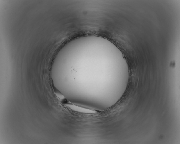 X0000090931057200708201823