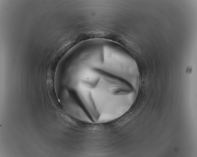 X0000090931058200708201823