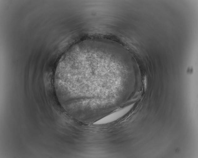 X0000090931059200708201823