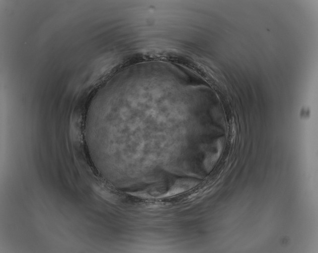 X0000090931060200708201823