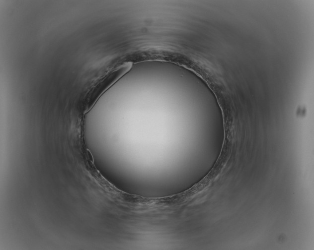 X0000090931061200708201823