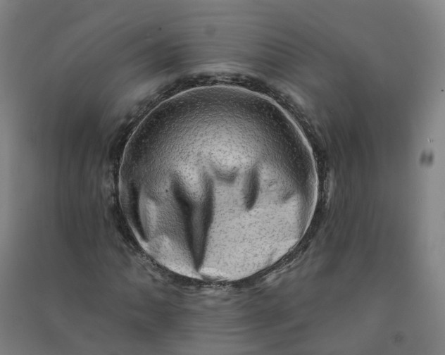 X0000090931062200708201823