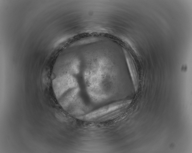 X0000090931063200708201823