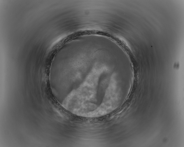 X0000090931064200708201823