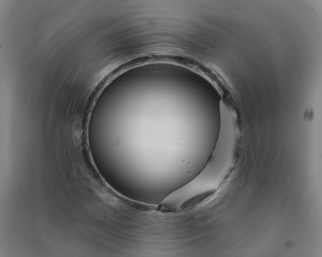 X0000090931065200708201823