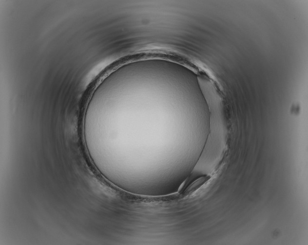 X0000090931066200708201823