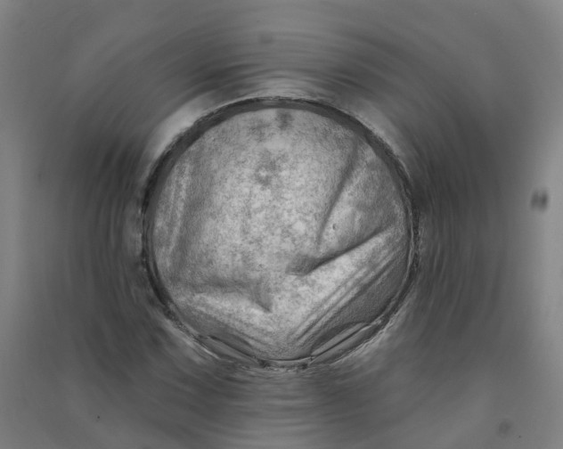 X0000090931067200708201823