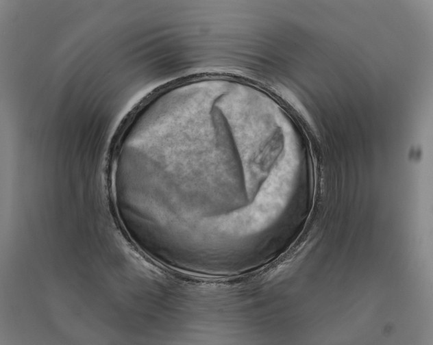 X0000090931068200708201823