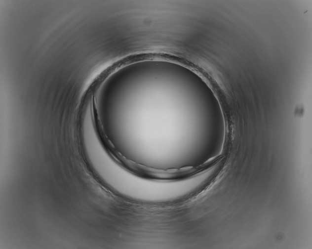 X0000090931069200708201823