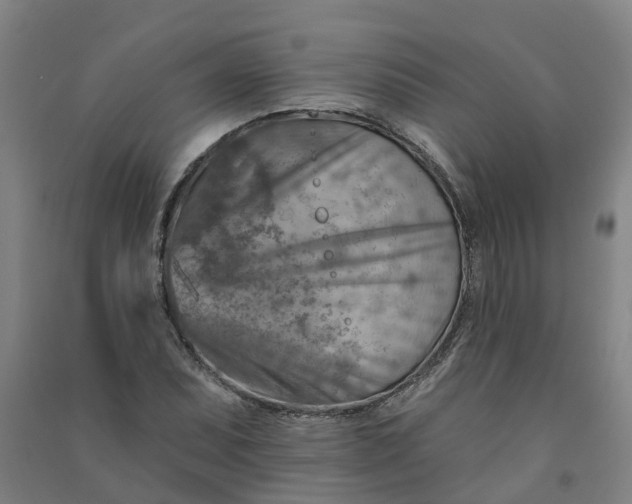 X0000090931071200708201823