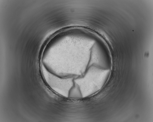 X0000090931072200708201823