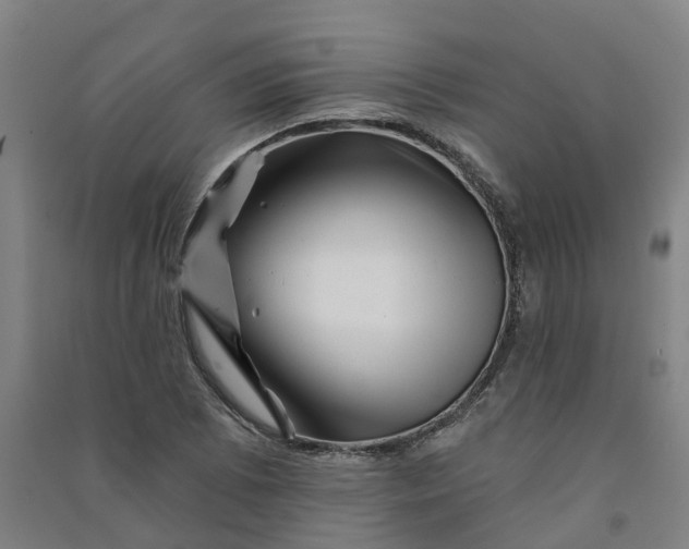 X0000090931073200708201823