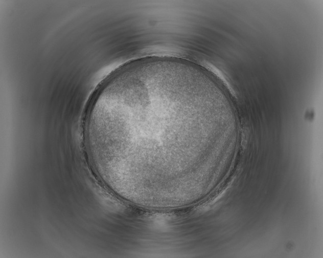 X0000090931074200708201823