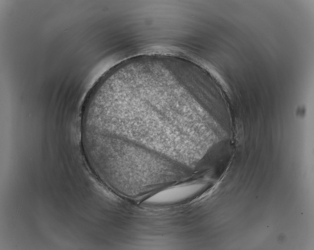 X0000090931075200708201823