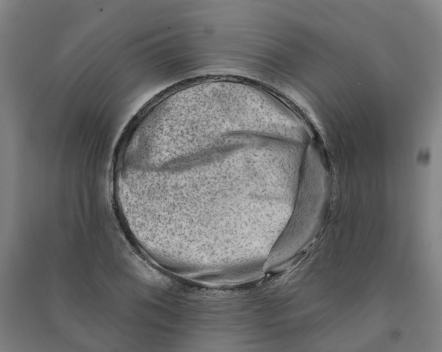 X0000090931076200708201823