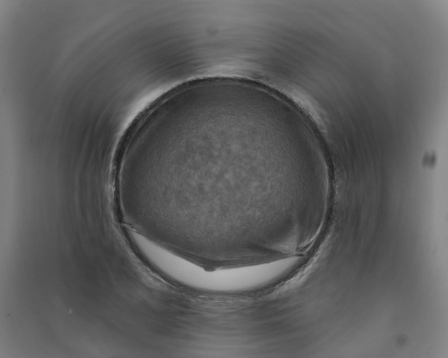 X0000090931077200708201823