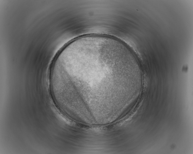 X0000090931078200708201823