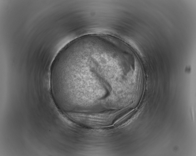 X0000090931079200708201823