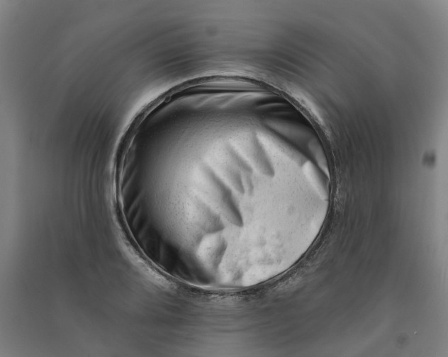 X0000090931080200708201823