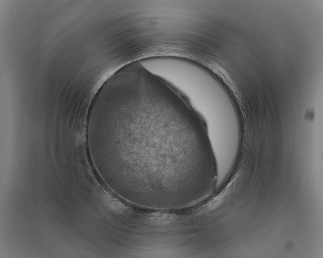 X0000090931081200708201823