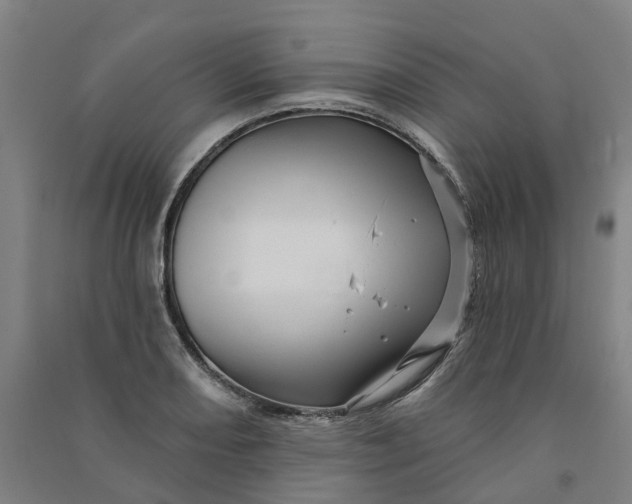 X0000090931082200708201823