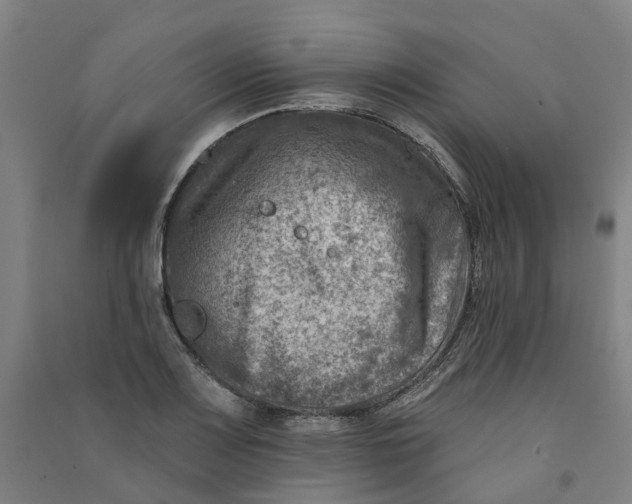 X0000090931083200708201823