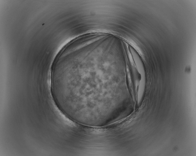 X0000090931084200708201823