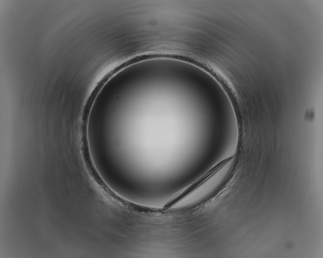 X0000090931085200708201823