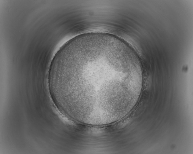 X0000090931086200708201823