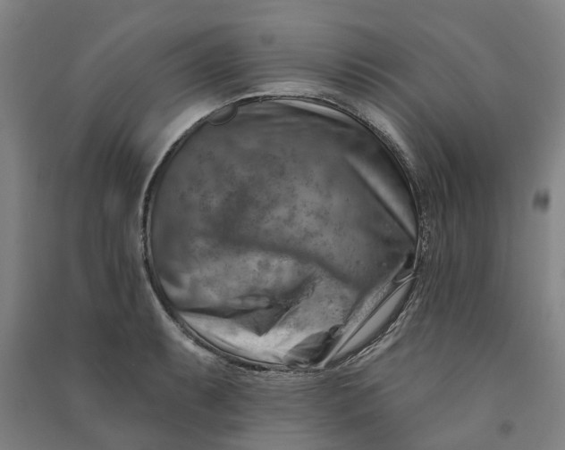 X0000090931087200708201823