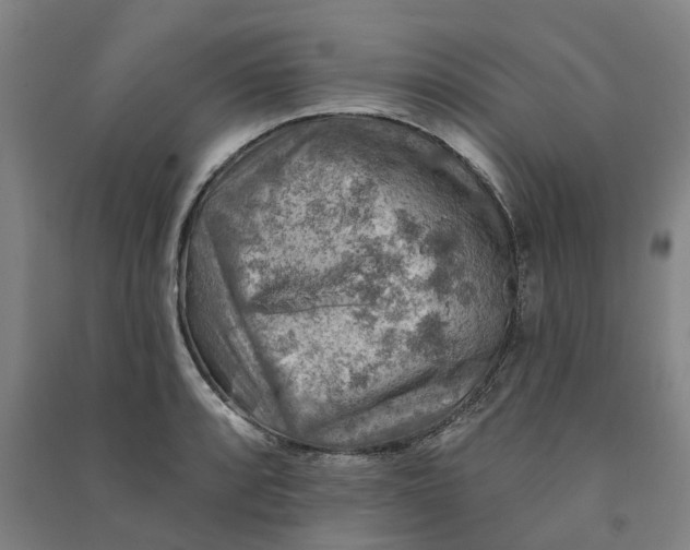 X0000090931088200708201823