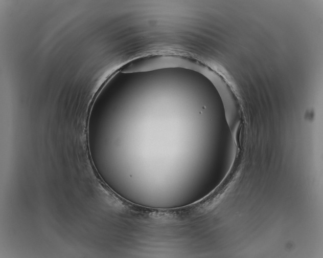 X0000090931089200708201823