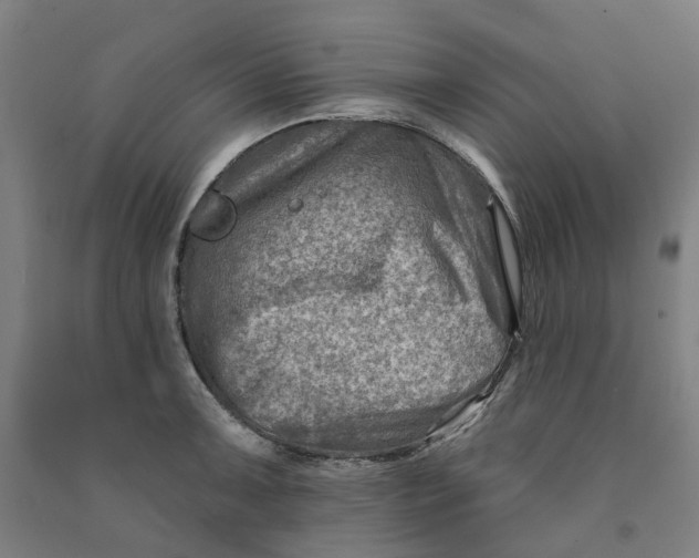 X0000090931091200708201823