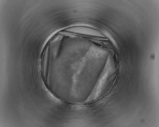 X0000090931092200708201823