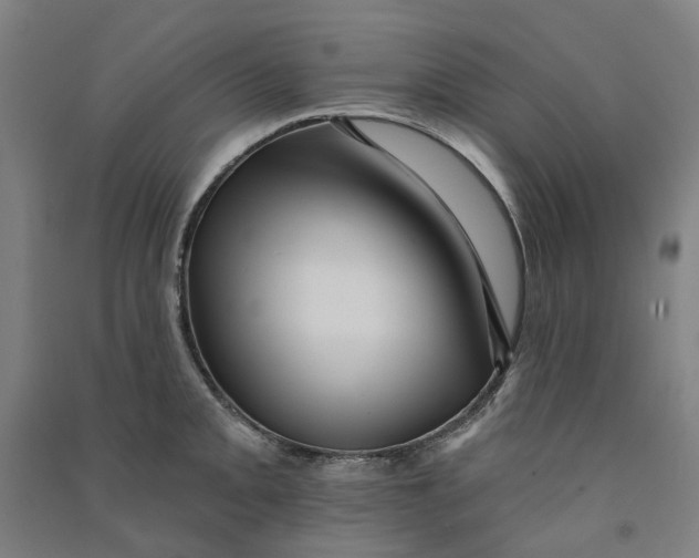 X0000090931093200708201823