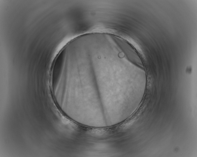 X0000090931094200708201823