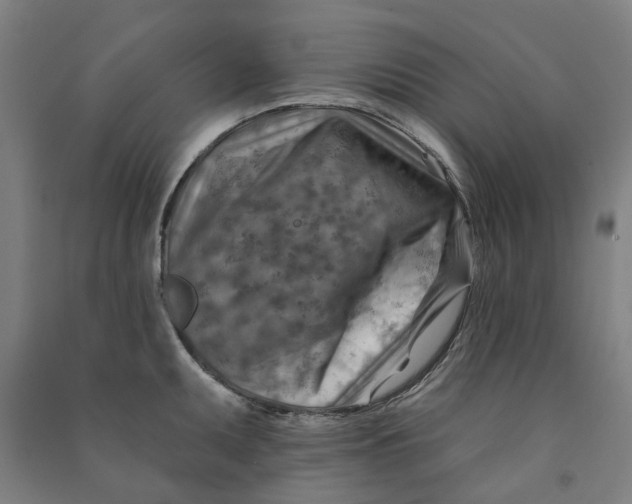 X0000090931095200708201823