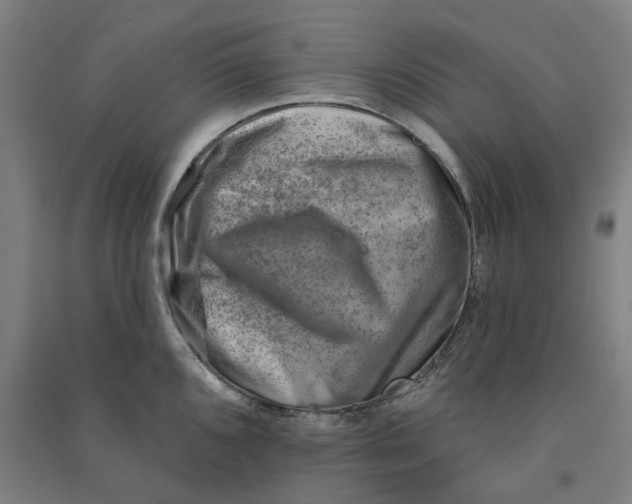 X0000090931096200708201823