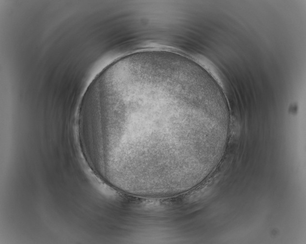 X0000090931098200708201822