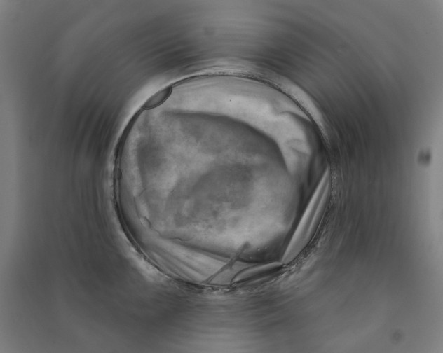 X0000090931099200708201822