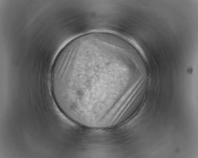 X0000090931100200708201822