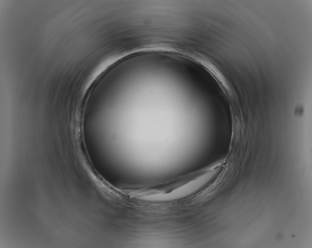 X0000090931101200708201822