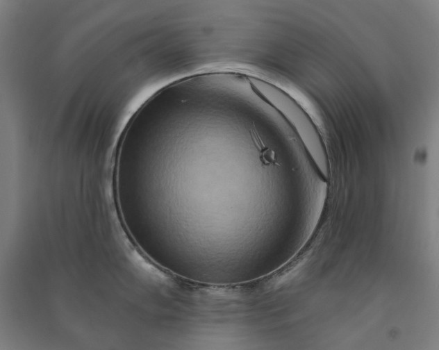 X0000090931102200708201822