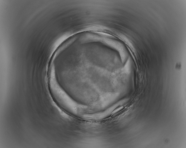 X0000090931103200708201822