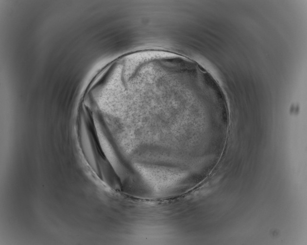 X0000090931104200708201822