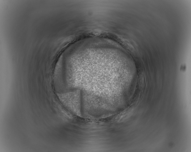 X0000090931105200708201822